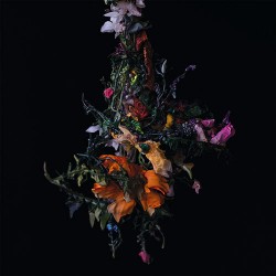 Big | Brave: Nature Morte LP